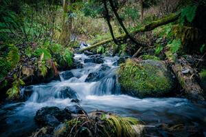 waterfalls create joy