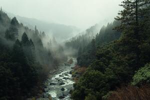 Rapids divide us