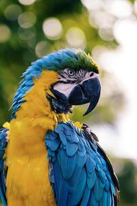 Birds eat crackers
