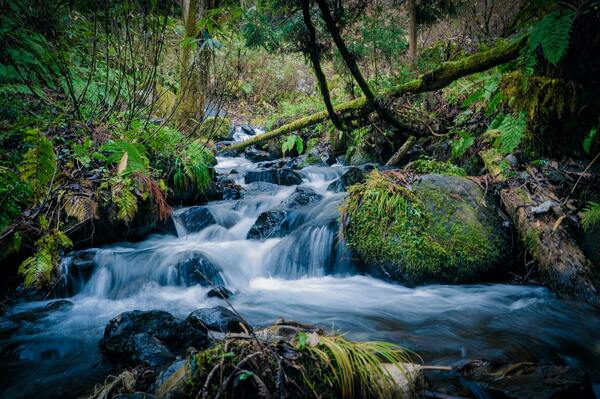 waterfalls create joy Print