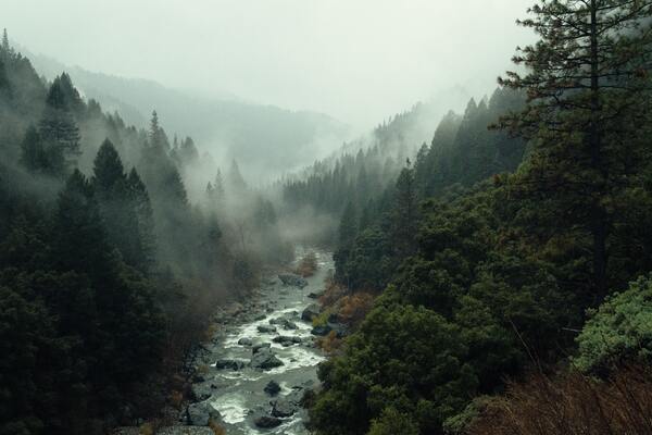 Rapids divide us Print