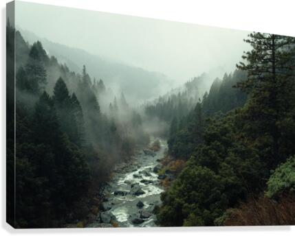 Rapids divide us Canvas Print