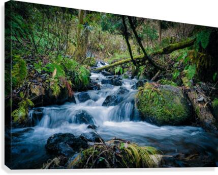waterfalls create joy Canvas Print