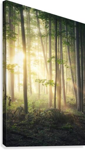 f19 Canvas Print