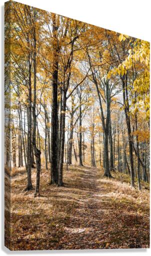 f14 Canvas Print