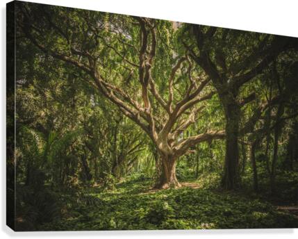 f20 Canvas Print