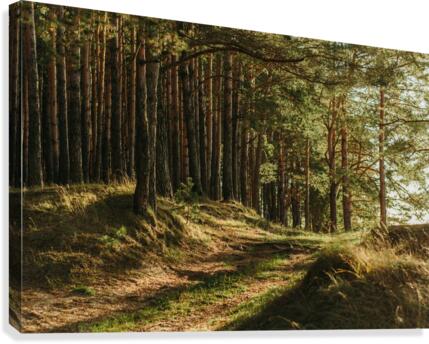 f18 Canvas Print