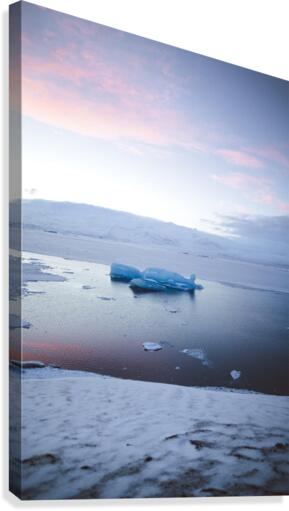 Winter is cold Canvas Print
