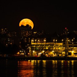 Super Full Buck Moon