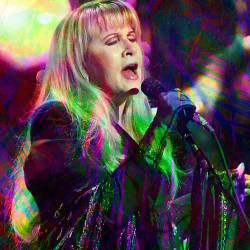Stevie Nicks