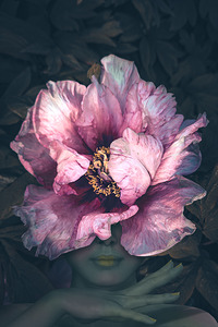 Pink Peony Flower Fae   See