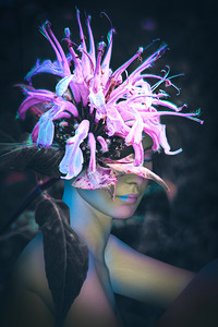 Wild Bergamot Flower Fae   Rest