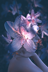 Pink Azalea Flower Fae   Patience