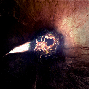 Sleeping in a Hollow Home