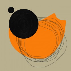 Cat on Back Playing in Orange