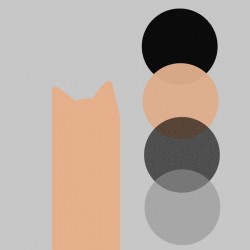 Cat and Four Balls in Orange