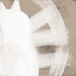 White Cat with Zoomies