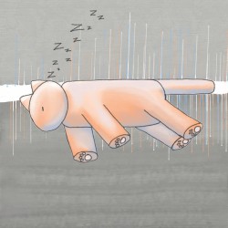 Bubble Cat Orange on Gray