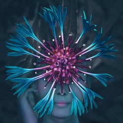 Bachelors Button Flower Fae   See