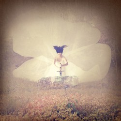 Embedding the Sword in the Stone