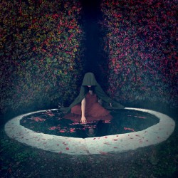 Dark Reflections of Truth