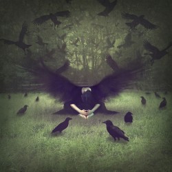 The Queen Transforms