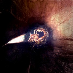 Sleeping in a Hollow Home