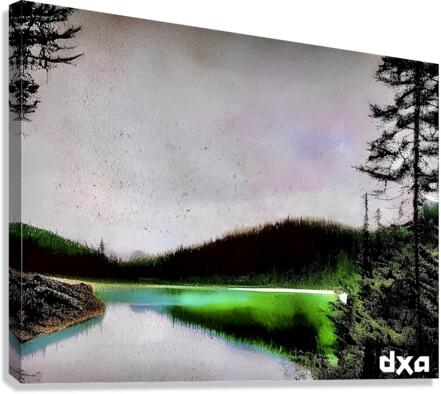 Enough Canvas Print