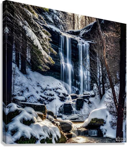 Free Fallin’  Canvas Print