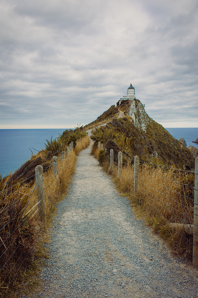 Vertical Nugget point lighthouse Print