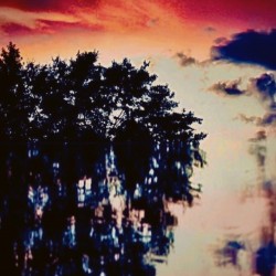Reflections 