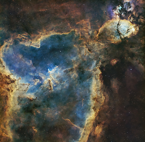 The Head & The Heart