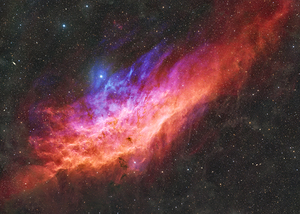 California Nebula