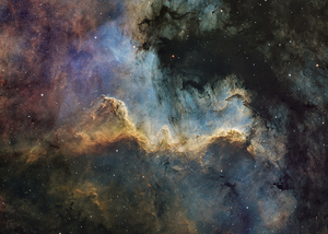 Cygnus Wall