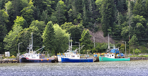 Fishing Boats