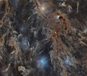 Taurus Molecular Cloud