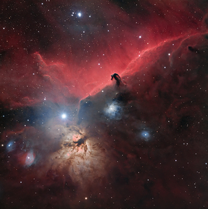 Horsehead and Flame