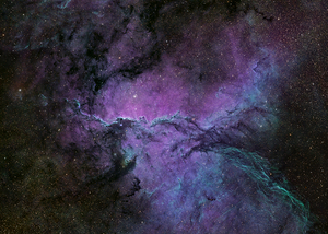 Fighting  Dragons of Ara