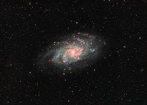 M33