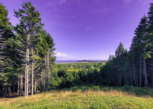 Sea view from Mountain