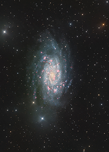 NGC2403
