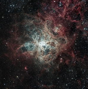 Tarantula Nebula