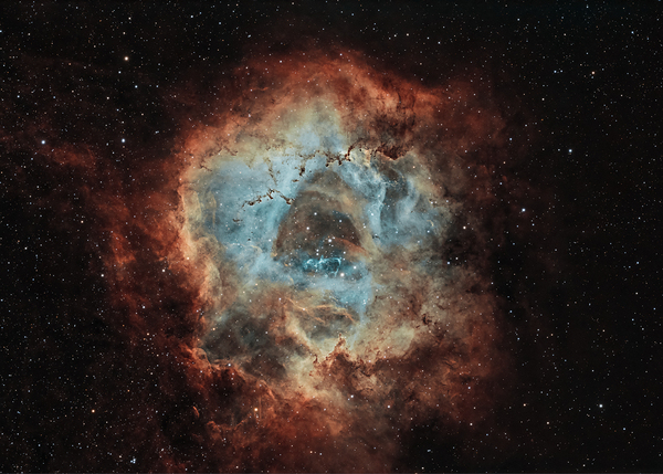 Rosette Nebula by Toozastro