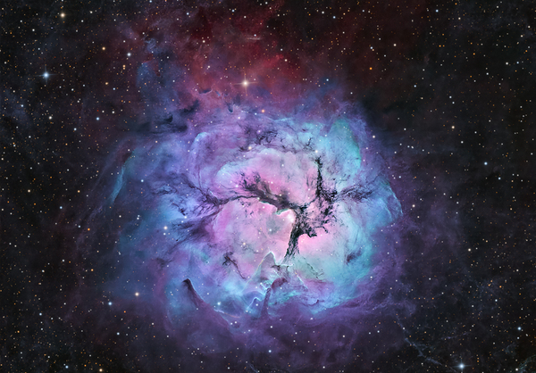Trifid Nebula by Toozastro