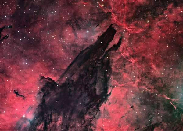 Dark Wolf by Toozastro