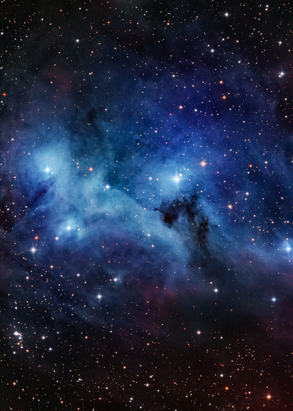 IC 2169 Print