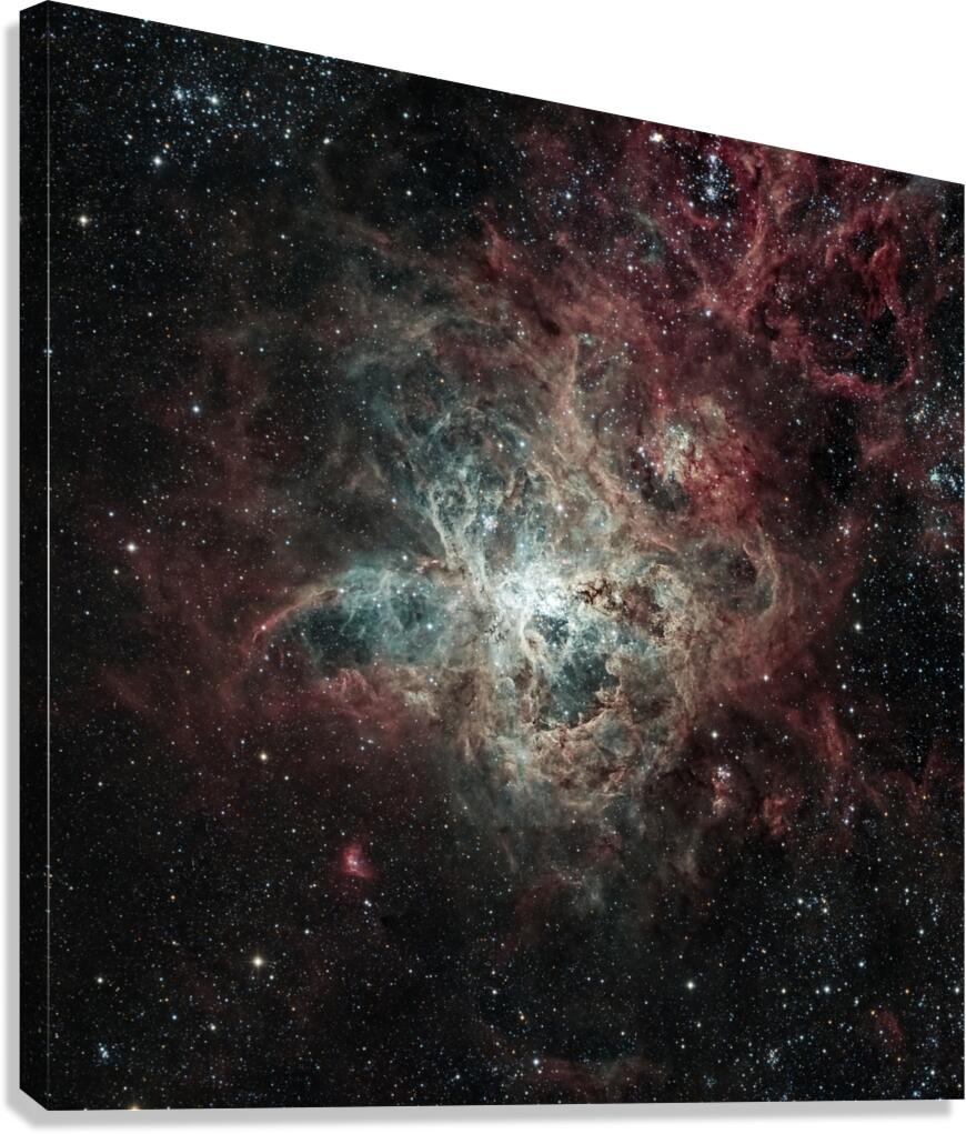 Tarantula Nebula Canvas Print