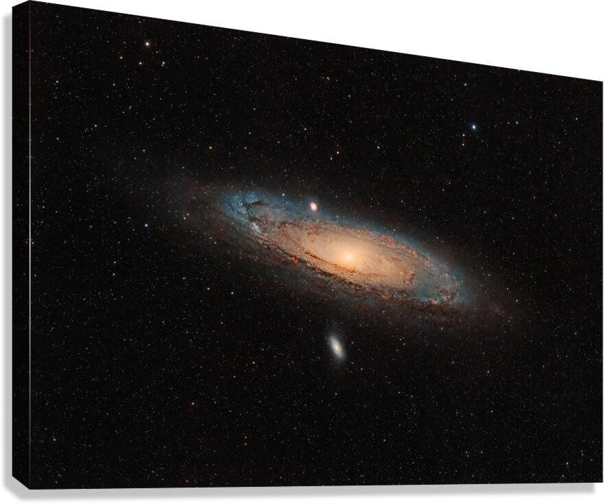 Andromeda Canvas Print