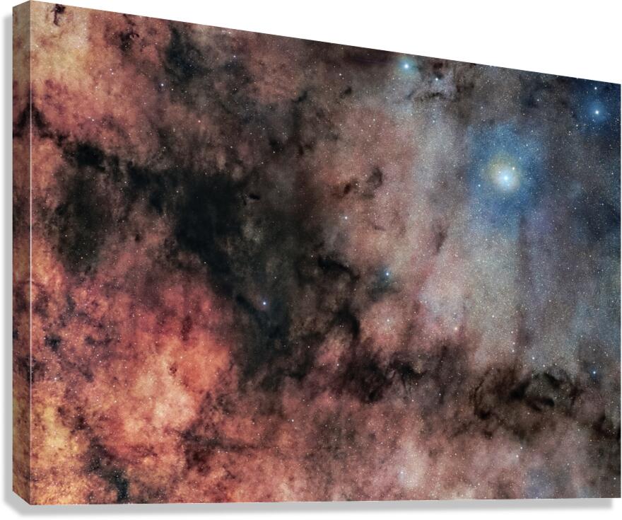B78 Canvas Print