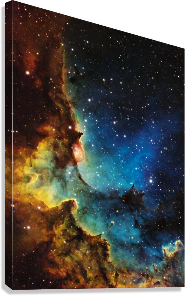 Wizard Nebula Canvas Print